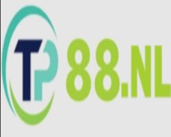 Trang Trí Nội Thất 