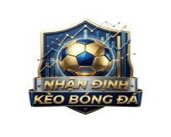 Dịch Vụ 
